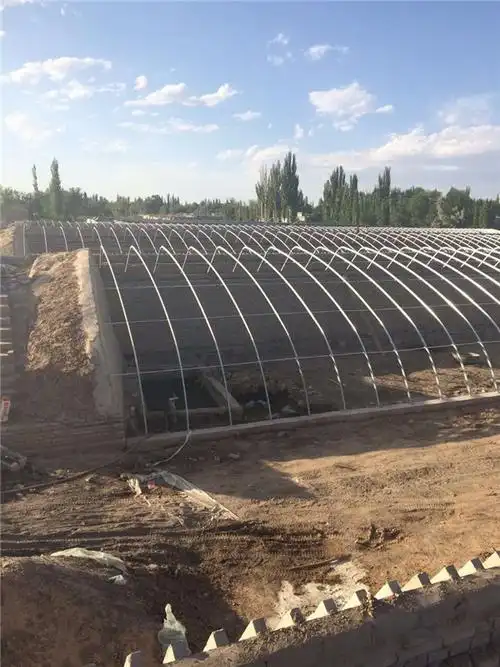 河北椭圆管温室大棚-椭圆管温室大棚搭建电话-欣盛温室
