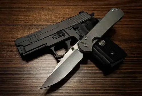 短小紧凑又不失沉稳西格绍尔公司p229手枪图集