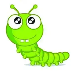 蛆虫的英文蛆虫英文怎么写蛆虫用英语怎么说