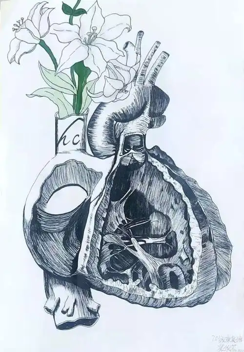 德宏职业学院第一届人体解剖绘图大赛