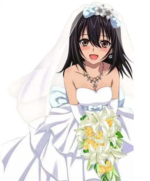 雪狼剑巫姬柊雪菜图包