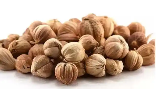 豆蔻进口报关手续单证及注意事项【清关指南】 - 知乎