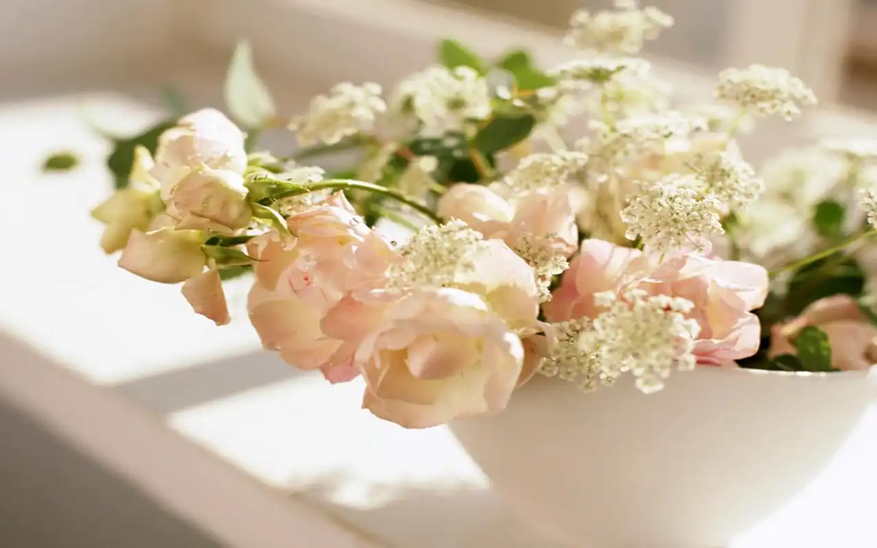 室内小清新花艺风景图片桌面壁纸高清大图预览1920×1200_风景壁纸