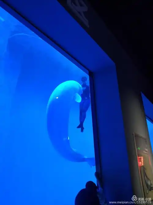 包头海洋世界游