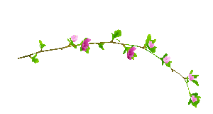 【转载】【免抠透明动态花草】〖画音小装饰物