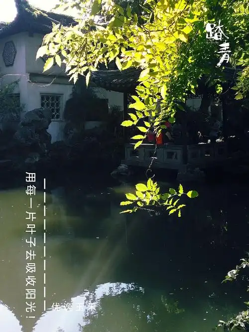 摄影图片配文 - 原创作品 - 站酷(zcool)