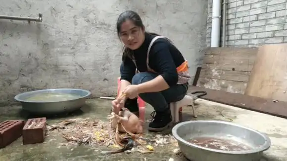 女汉子杀鸡过年啦-三农视频-搜狐视频