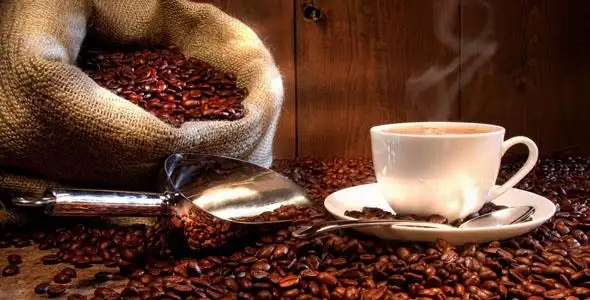 牙买加咖啡百科:除了蓝山还有啥?