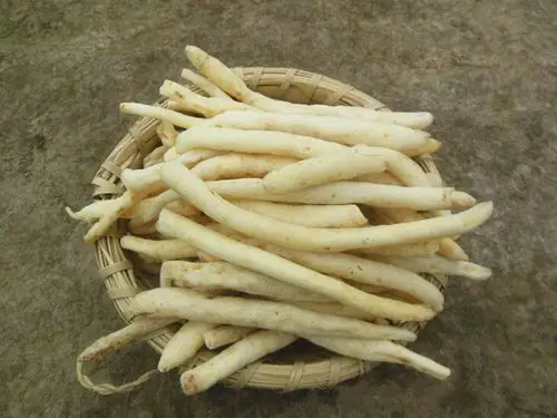 中药材特级精选四川野生明党参山萝卜粉参川明参干500g包邮