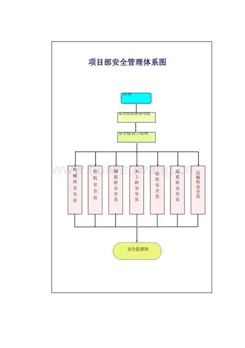 安全管理体系图doc