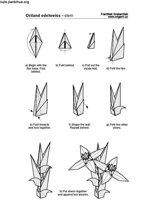 纸花折法步骤图解