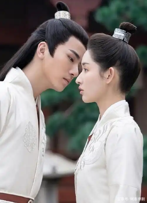 十四部女扮男装电视剧,超级好看,你追过几部?