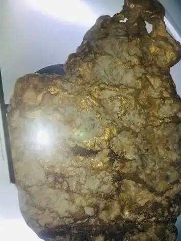 狗头金一般会出现在哪几种地方怎么寻找狗头金呢