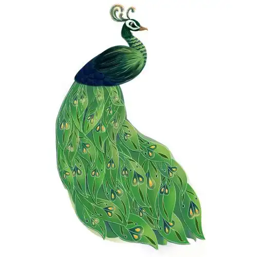 孔雀插画 插画 孔雀