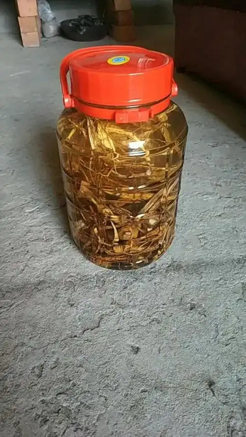 昨天刚泡的牛大力酒?今天就变色了?