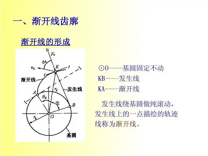 4-2 渐开线标准直齿圆柱齿轮ppt
