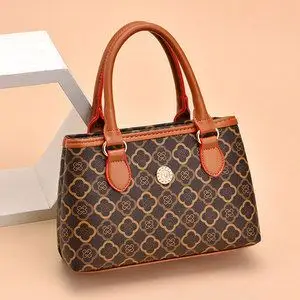 中老年女手提包小妈妈买菜包包图片