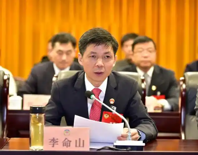 县委书记李命山发表讲话.