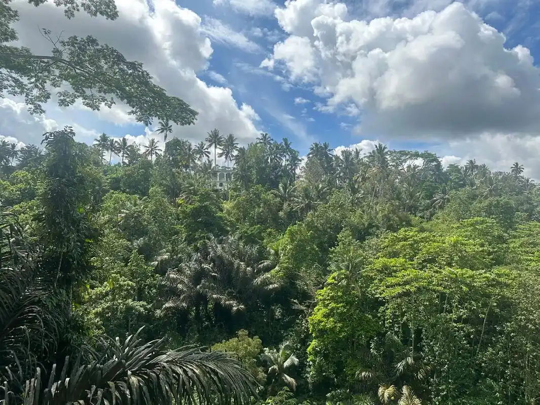 这里是加里曼丹岛是金丝燕的天堂