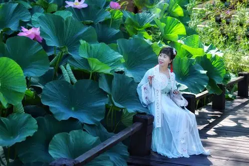 荷花邂逅汉服,惊艳了夏天