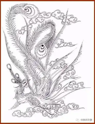 工笔白描凤凰!恭请大家欣赏!