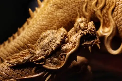 黄杨木五爪金龙