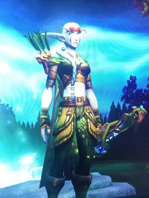 求个暗夜女猎人的幻化