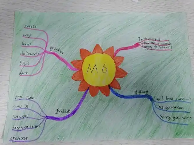 我们的思维导图之旅—m6