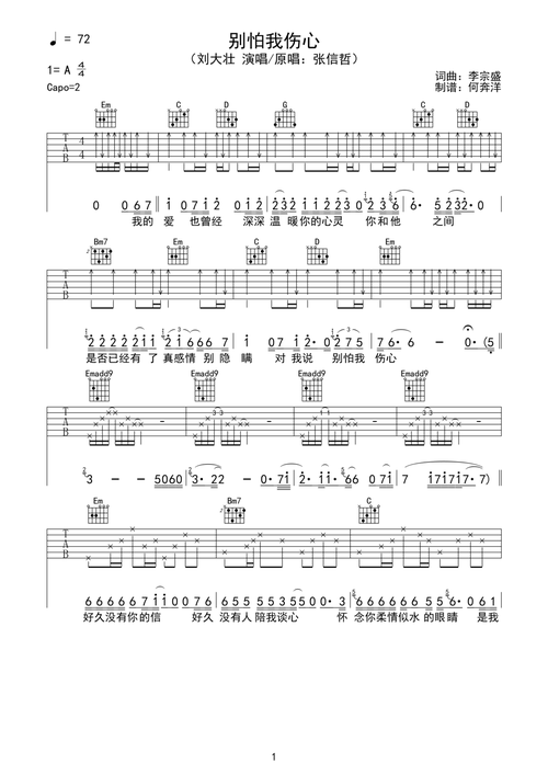 刘大壮别怕我伤心吉他谱