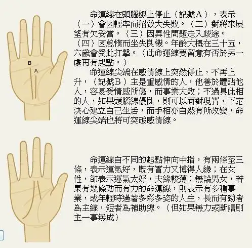 命运线从智慧线开始是最吉祥手相财运事业运都强手相命运线图解