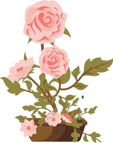 卡通蔷薇