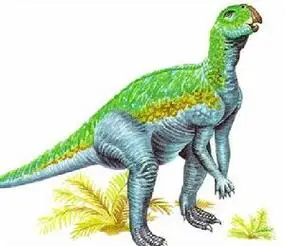 梅莱营鹦鹉嘴龙