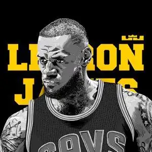 勒布朗,詹姆斯头像