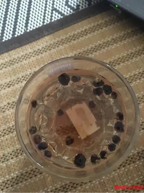 爆料一下假黑枸杞泡水以后都是什么样的?