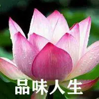 品味人生微信头像_微信头像图片大全