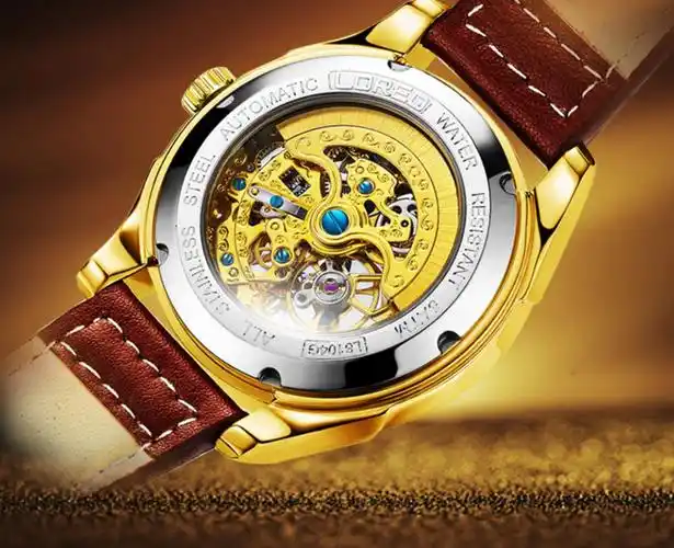 雷力欧手表男士2022年新款全自动机械表防水夜光十大镂空品牌男表