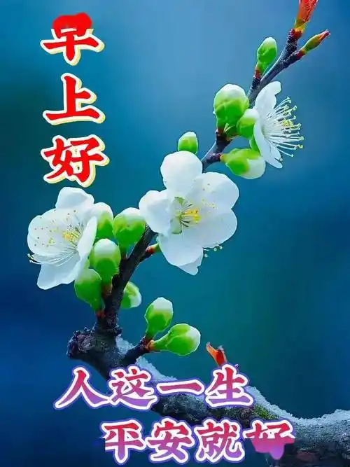 今日最新早上好表情图片大全,美在心情,乐在生活_祝福_朋友_问候
