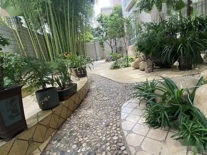 南雄农村的"美丽庭院",城里人都看哭了!_生活_院子_农家小院