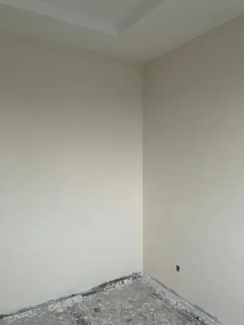 立邦奶咖色完工