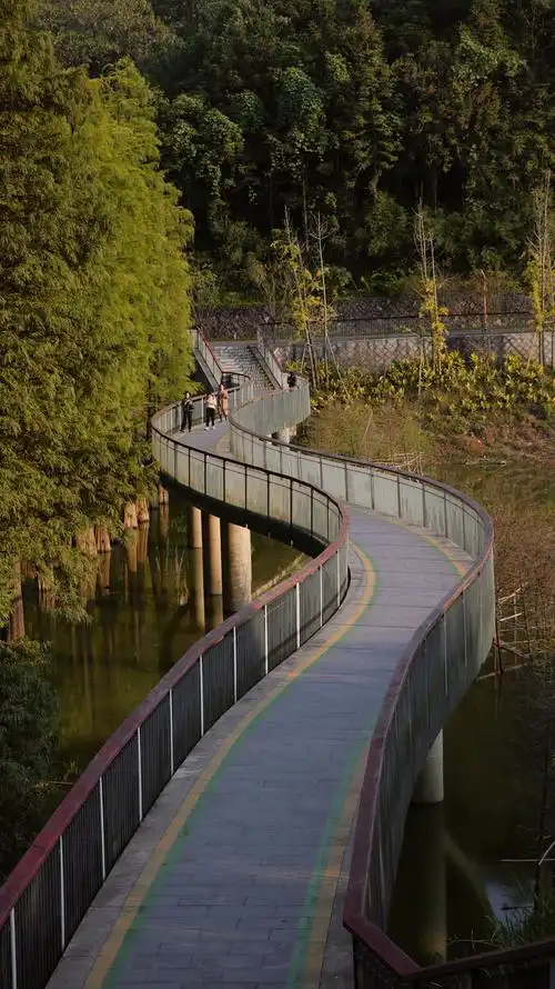 青山湖水上森林公园