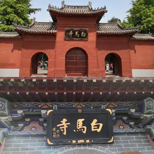 由于天气炎热,游完白马寺下午一时回酒店休息.