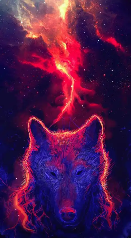 4k壁纸|狼,经过无数次残酷争斗,在狼的世界,只相信强者