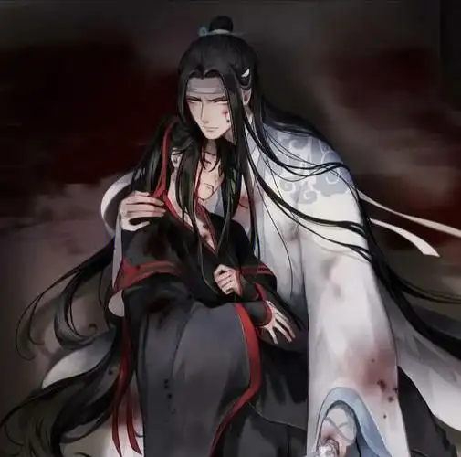 天官赐福  #魔道祖师  但是我有说过我是正经人?