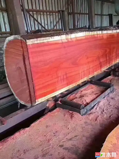 红花梨原木板材