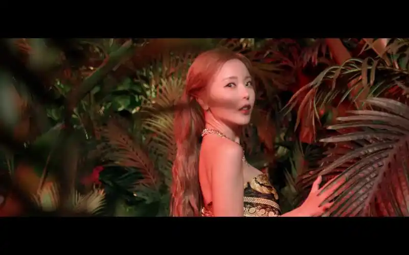 洪真英新曲vivalavidamv公开