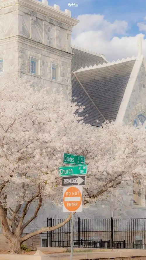 宝藏壁纸风景壁纸