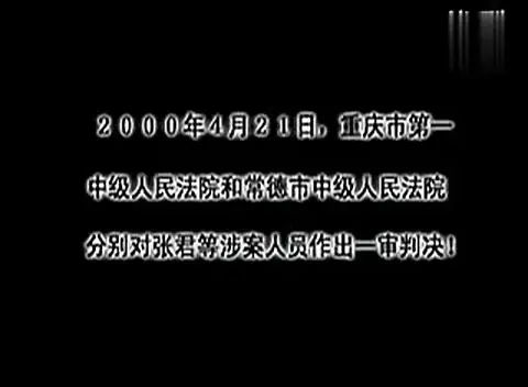 张君团伙审判纪实-影视综视频-搜狐视频