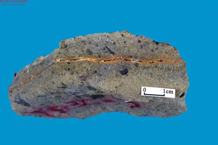 灰绿色方铅矿化砂砾岩_galena mineralized sandstone_国家岩矿化石