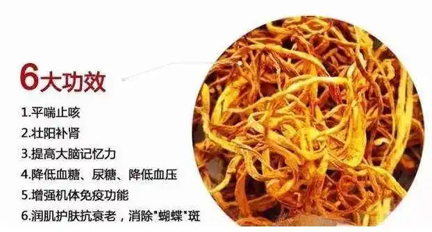 权健三宝——助男人雄霸天下!男性朋友养生调理必备神器!