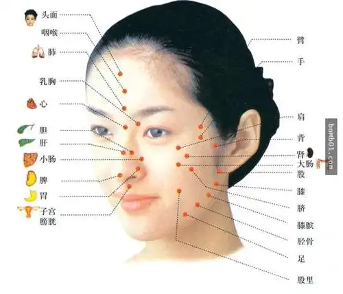 你的身体健康全都清楚写在你的脸上了,通过观察脸蛋就能判断你的内脏